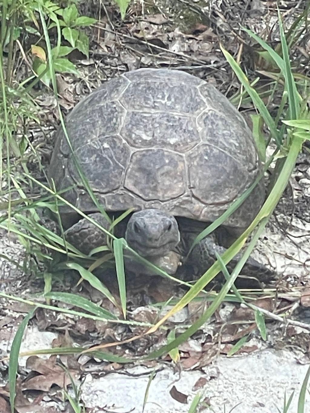 Unlock the World of Wildlife Through Citizen&nbsp;Science