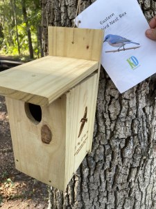 A wooden birdhouse mounted on a tree, with an informational card about the Eastern Bluebird next to it.